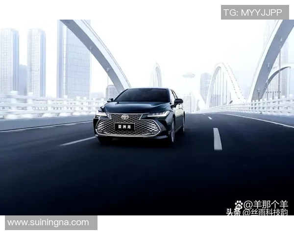 西安羽毛球队在洲际杯积分榜上以59分稳居首位展现强劲实力