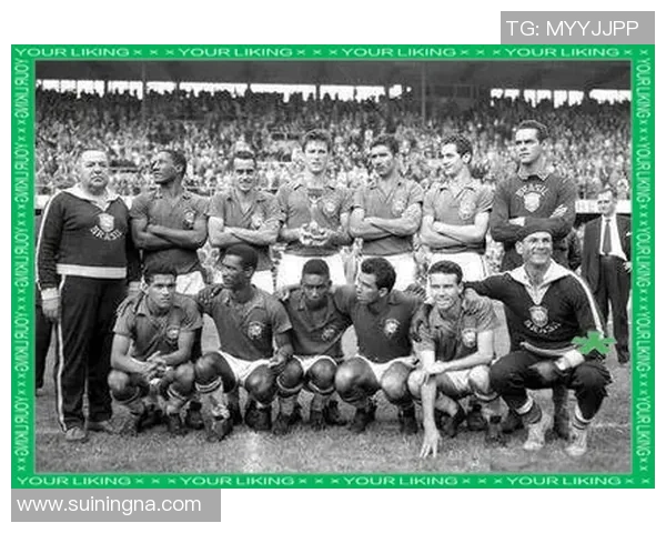 回顾1995年瑞典足球明星的辉煌历程与成就分析