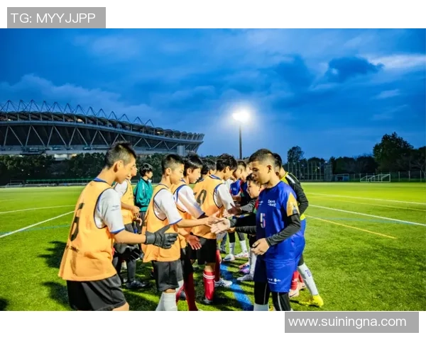 在绿茵场上追逐梦想的爱情故事足球明星的浪漫情缘小说推荐 在绿茵场上追逐梦想的爱情故事足球明星的浪漫情缘小说推荐