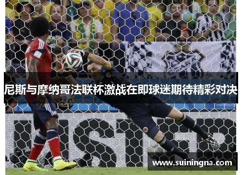 尼斯与摩纳哥法联杯激战在即球迷期待精彩对决