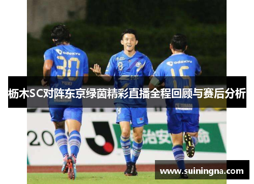 枥木SC对阵东京绿茵精彩直播全程回顾与赛后分析
